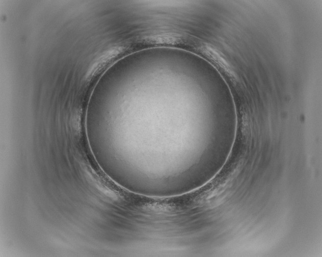 X0000088840537200706071422