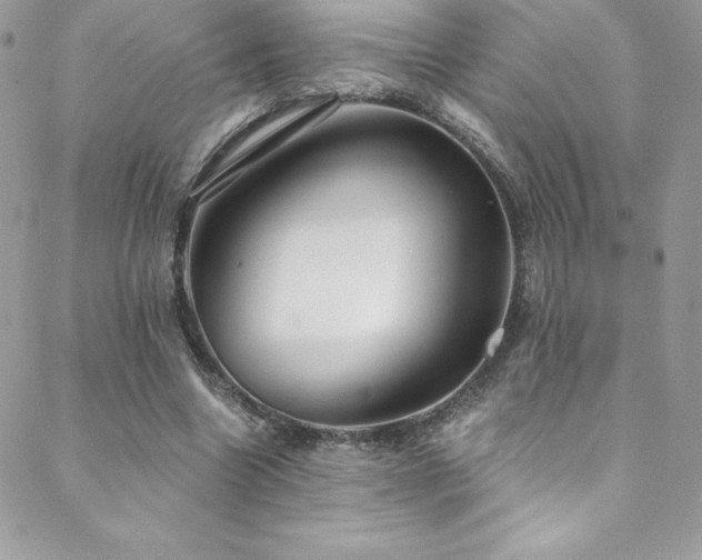 X0000088840538200706071422