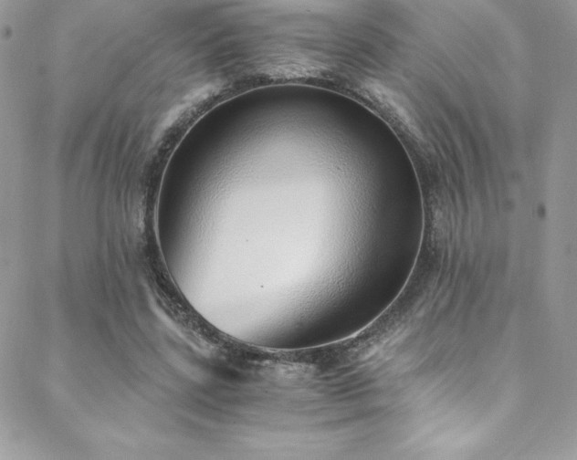 X0000088840539200706071422