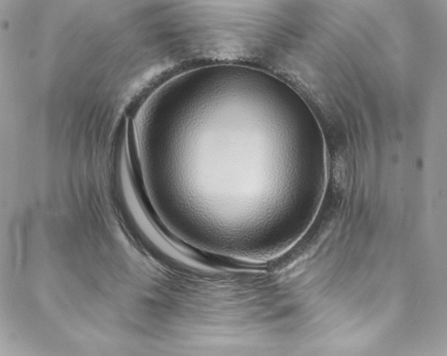 X0000088840540200706071422