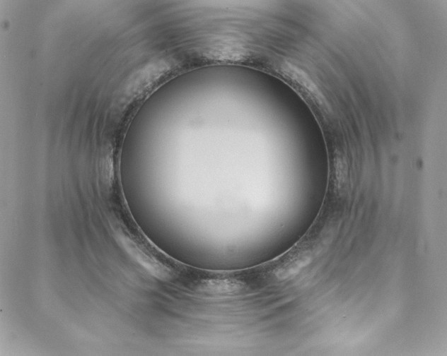 X0000088840541200706071422