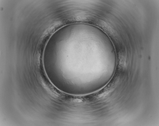 X0000088840542200706071422