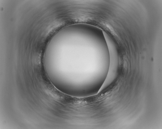 X0000088840543200706071422