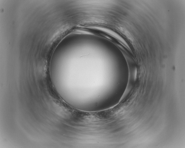 X0000088840544200706071422