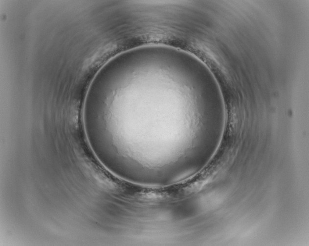 X0000088840545200706071422