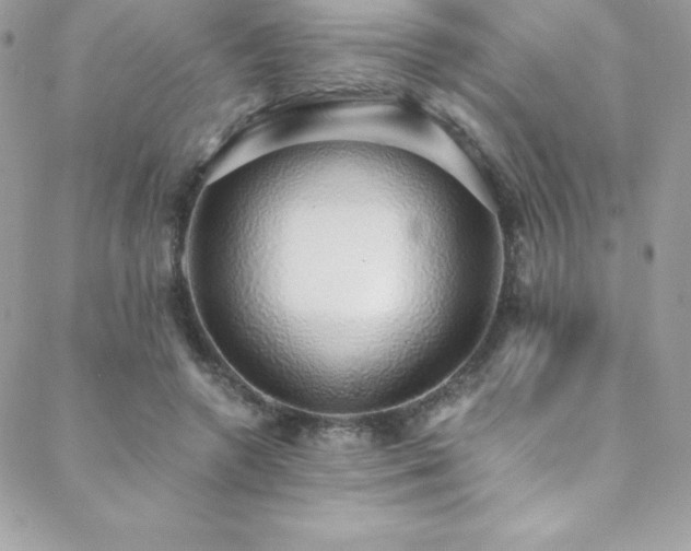 X0000088840546200706071422