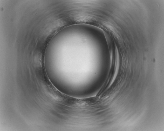 X0000088840547200706071422