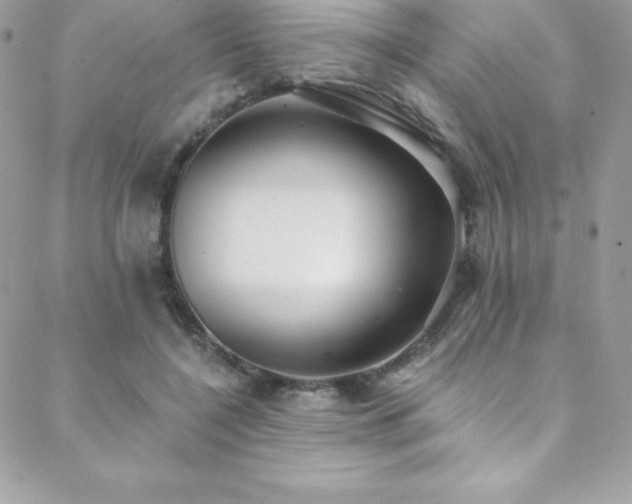 X0000088840548200706071422