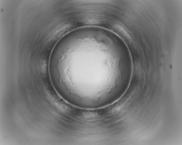 X0000088840549200706071423