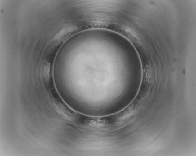 X0000088840550200706071423