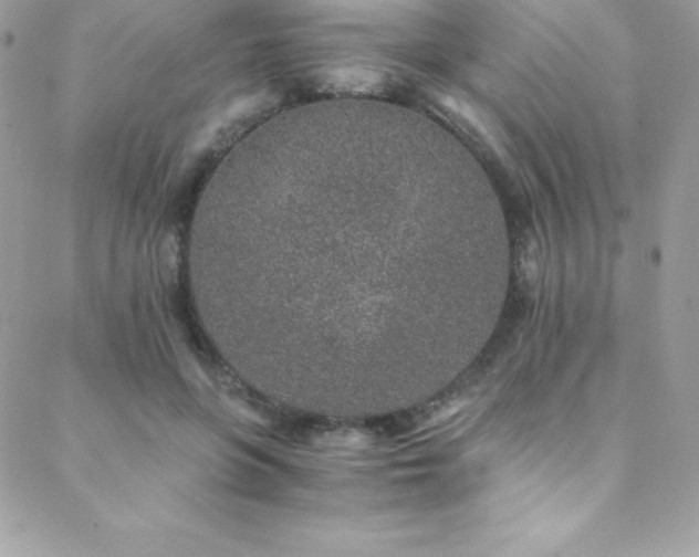 X0000088840551200706071423