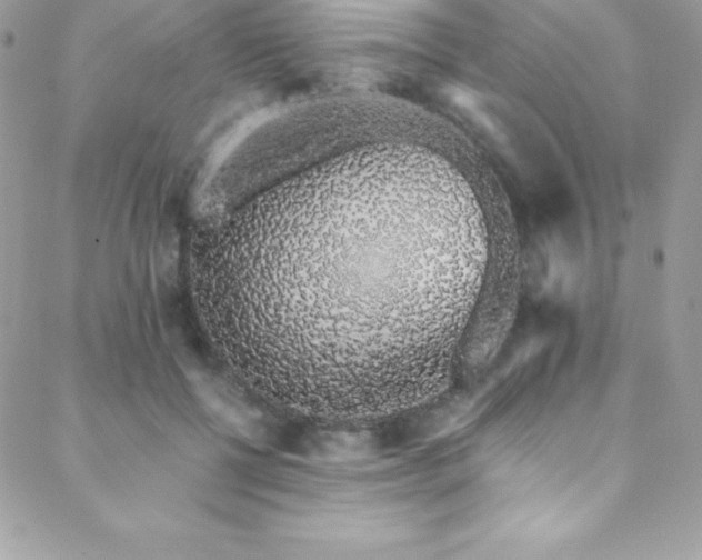 X0000088840552200706071423