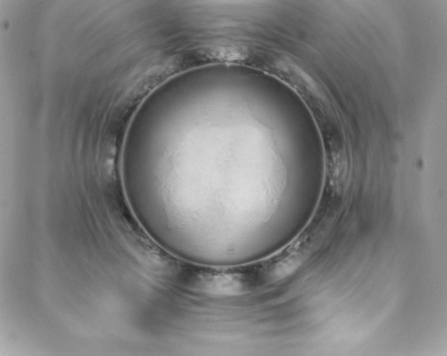 X0000088840553200706071423