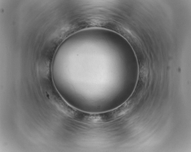 X0000088840554200706071423