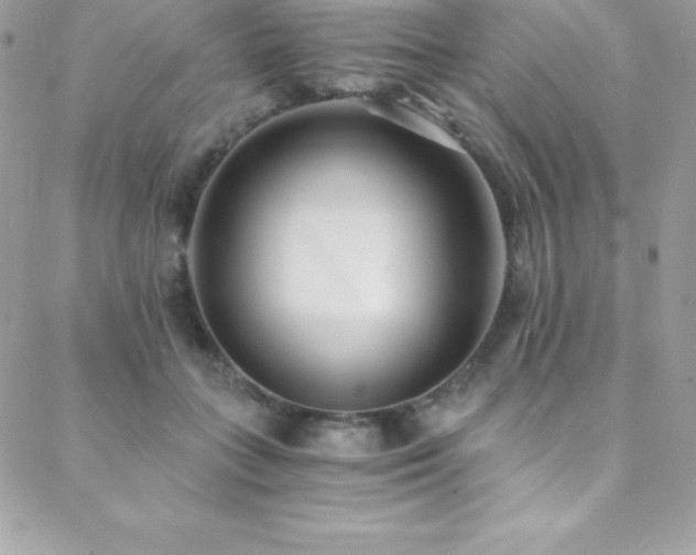 X0000088840555200706071423