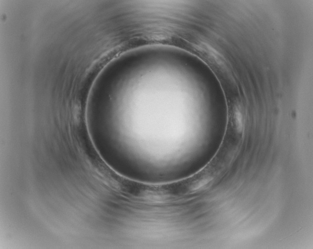 X0000088840556200706071423