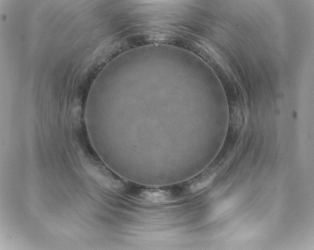 X0000088840557200706071423