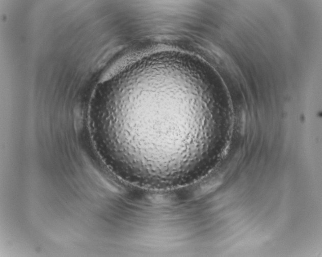 X0000088840558200706071423