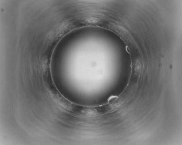 X0000088840559200706071423