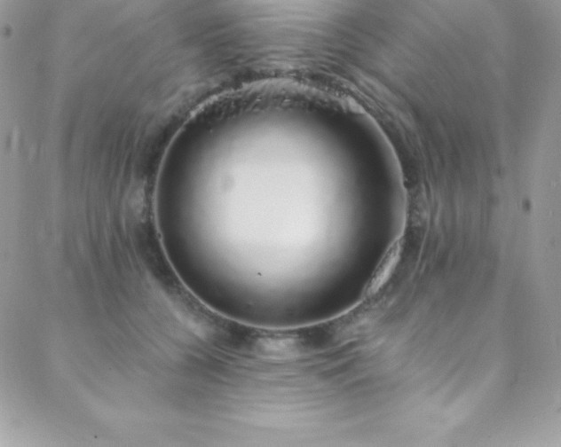 X0000088840560200706071423