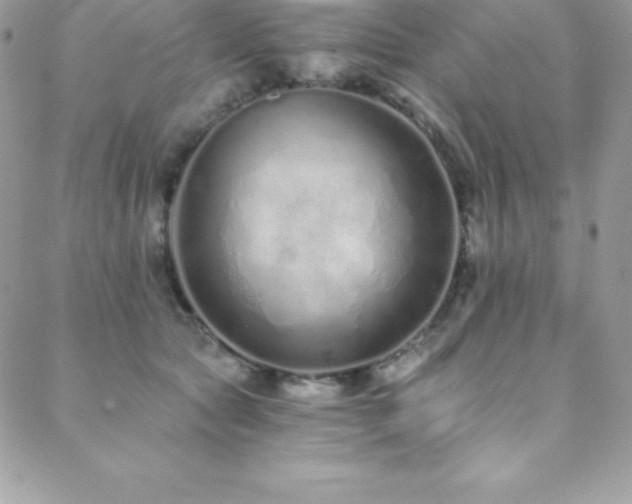 X0000088840561200706071423