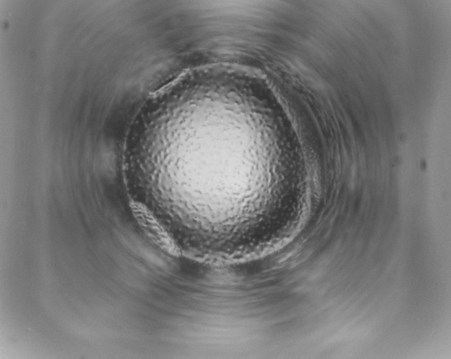 X0000088840562200706071423