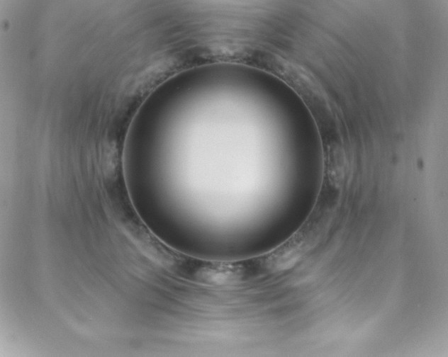 X0000088840563200706071423