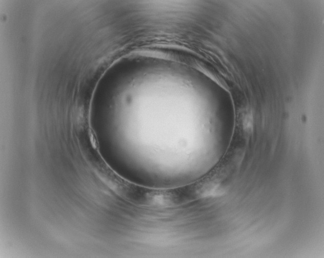 X0000088840564200706071423