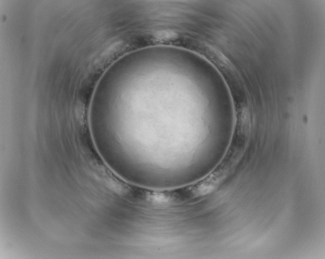 X0000088840565200706071423