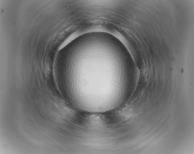 X0000088840566200706071423