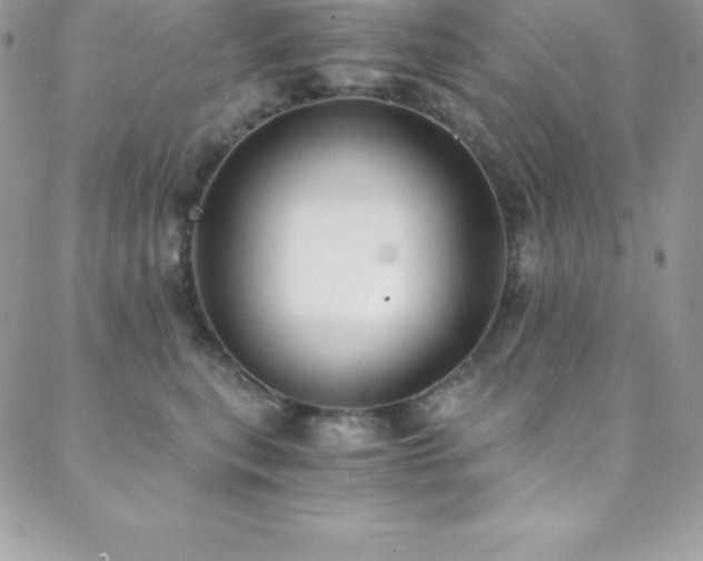 X0000088840567200706071423