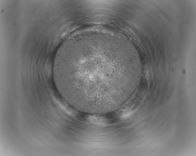 X0000088840568200706071423