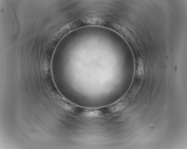 X0000088840569200706071423