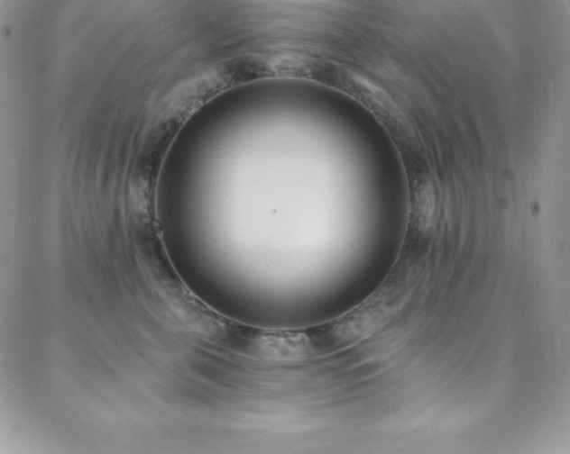 X0000088840571200706071423