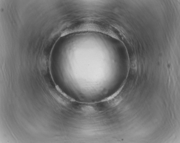 X0000088840572200706071423