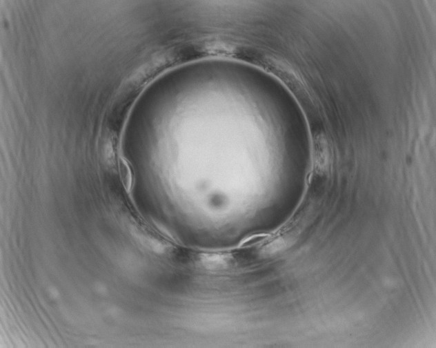 X0000088840573200706071423