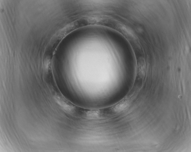 X0000088840574200706071423