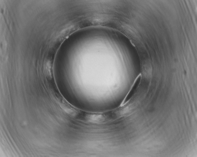 X0000088840575200706071423