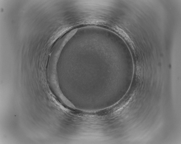 X0000088840577200706071422