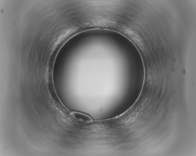 X0000088840578200706071422