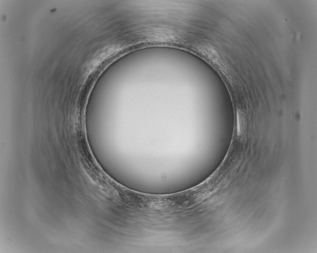 X0000088840579200706071422