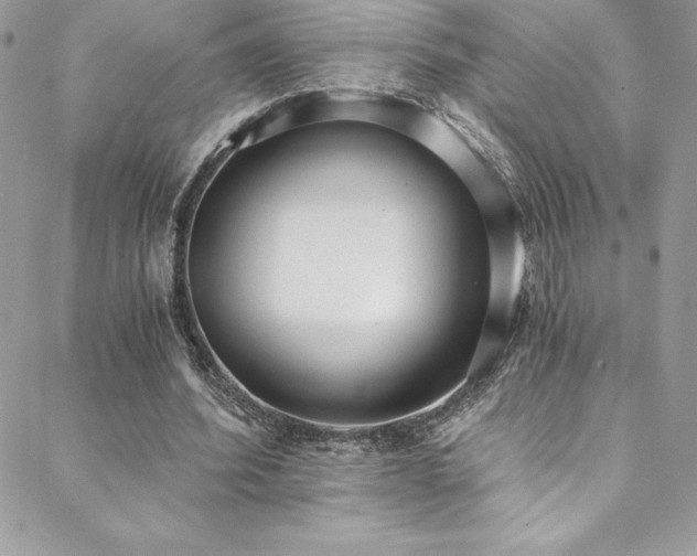 X0000088840580200706071422