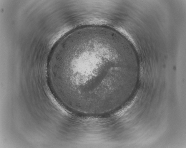 X0000088840581200706071422