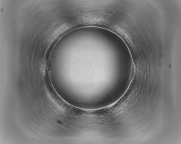 X0000088840582200706071422