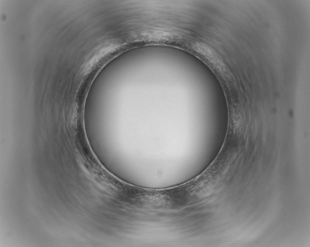 X0000088840583200706071422