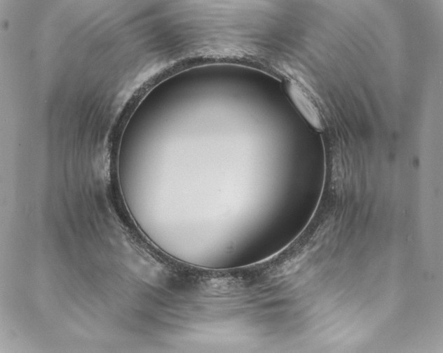 X0000088840584200706071422