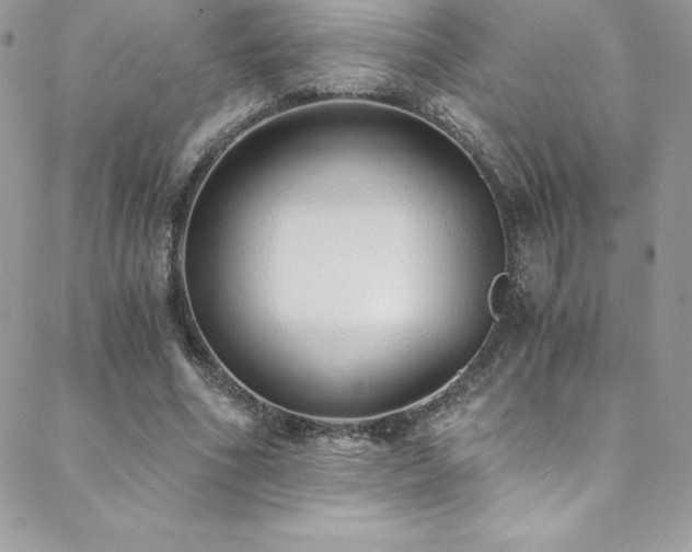 X0000088840586200706071422