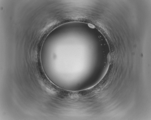 X0000088840587200706071422