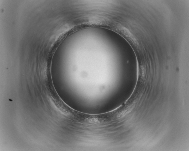 X0000088840588200706071422