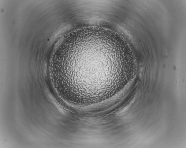 X0000088840589200706071422